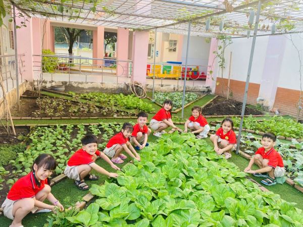 Vì Nông - Đất Sạch Cho Những Khu Vườn Xanh Trong Trường Học