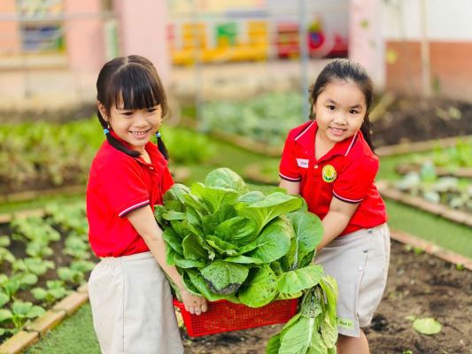 Vì Nông - Đất Sạch Cho Những Khu Vườn Xanh Trong Trường Học