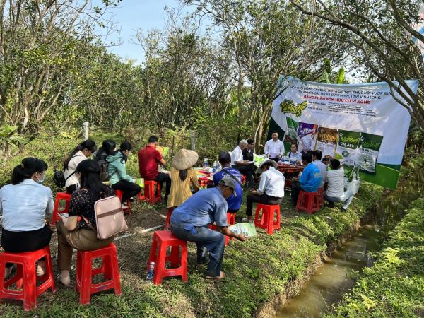 Vì Nông kết hợp Phòng Kinh Tế TX Bình Minh phục hồi vườn bưởi.