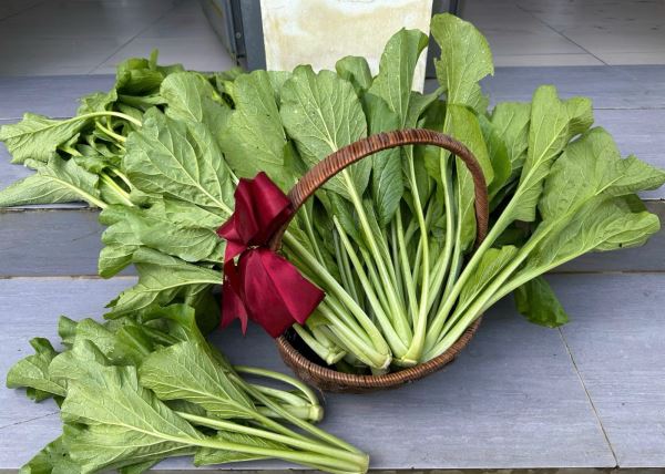 Vì Nông - ``Bí quyết vàng`` cho những khu vườn tươi tốt