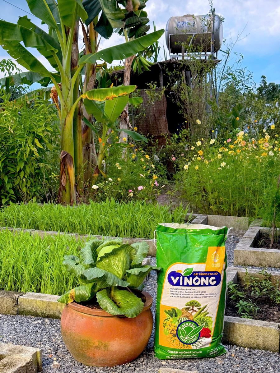 TIKTOKER CŨNG ĐÃ TIN DÙNG “VÌ NÔNG” – BẠN CÒN CHỜ GÌ NỮA?